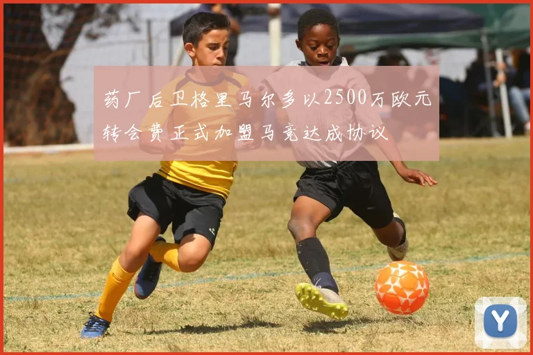 药厂后卫格里马尔多以2500万欧元转会费正式加盟马竞达成协议
